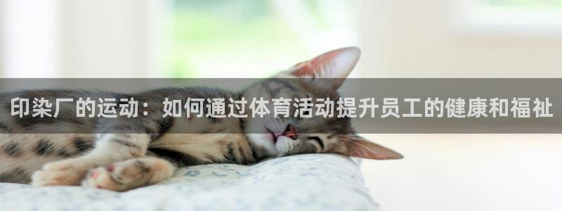 必威betway西汉姆联：印染厂的运动：如何通过体育活动提升员工的健康和福祉