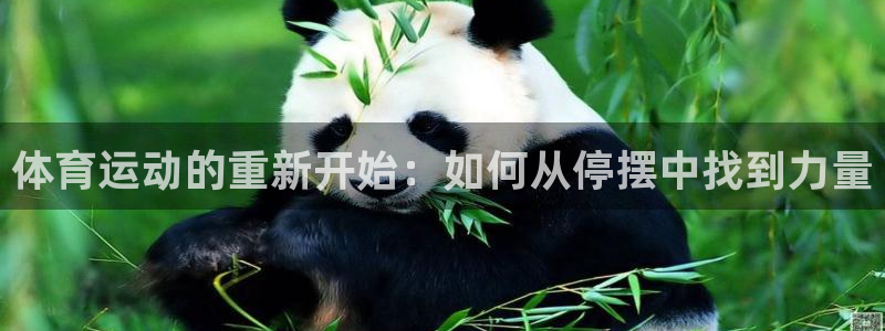 必威betway西汉姆联：体育运动的重新开始：如何从停摆中找到力量