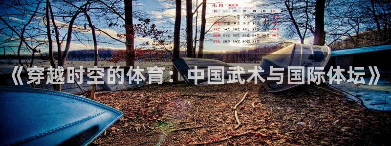 必威betway西汉姆联：《穿越时空的体育：中国武术与国际体坛》