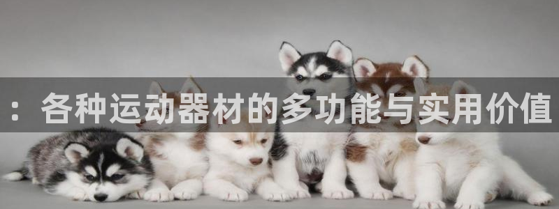 世界杯官网：：各种运动器材的多功能与实用价值