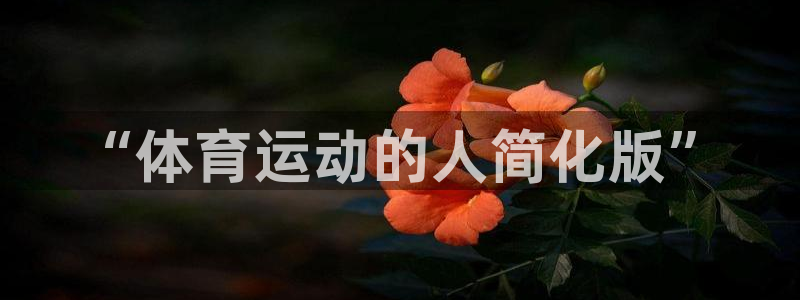 betway西汉姆：“体育运动的人简化版”
