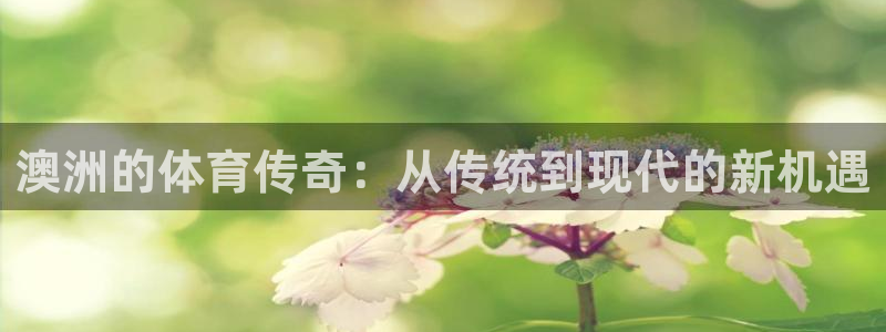 必威betway西汉姆联：澳洲的体育传奇：从传统到现代的新机遇