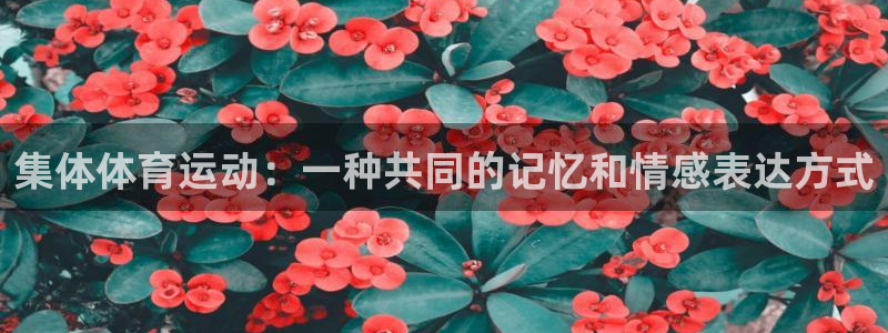betway西汉姆联官网