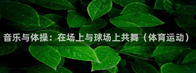 betway西汉姆：音乐与体操：在场上与球场上共舞（体育运动）